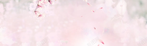 花背景