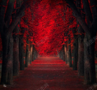 红色色彩自然风景图背景