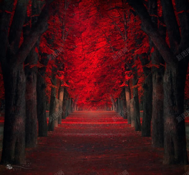 红色色彩自然风景图jpg设计背景_88icon https://88icon.com 红色 自然 色彩 风景