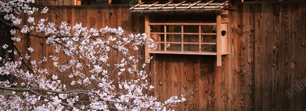 日式建筑樱花背景