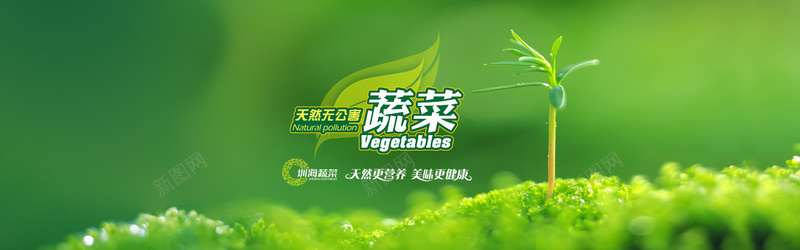 绿色有机蔬菜促销广告背景