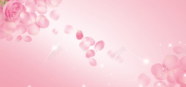浪漫粉玫瑰花瓣背景背景