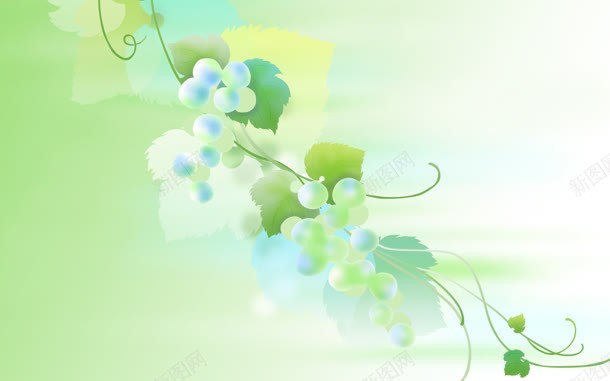 绿色葡萄绿叶淡雅壁纸jpg设计背景_88icon https://88icon.com 壁纸 淡雅 绿叶 绿色 葡萄