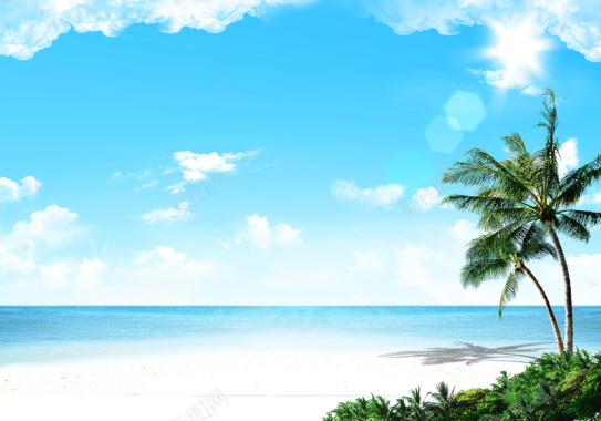海滩椰子树背景背景