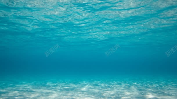 蔚蓝色的海底世界背景