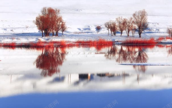 创意红色梅花树林湖面背景