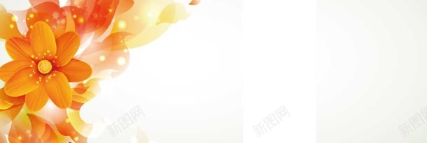 淘宝化妆品护肤花卉唯美背景bannerjpg设计背景_88icon https://88icon.com banner 化妆品 唯美 护肤品 淘宝 背景 花卉 高清