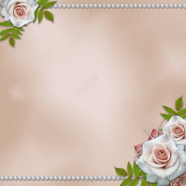 粉色玫瑰花背景背景