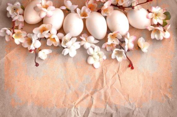 纸面上的鸡蛋和鲜花背景