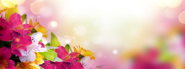 化妆品海报背景