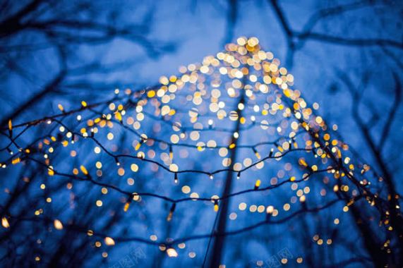 夜晚树枝上的灯泡海报背景背景