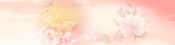 淘宝护肤品牡丹唯美背景bannerjpg设计背景_88icon https://88icon.com banner 唯美 护肤品 淘宝 牡丹 背景