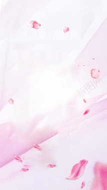 粉色花瓣女性药品H5背景背景