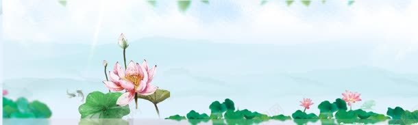 荷花背景蓝天清新背景