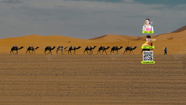 天空沙漠骆驼风景背景