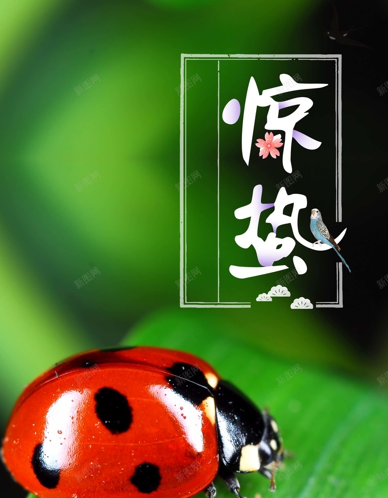 绿色简约惊蛰节气宣传海报psd_88icon https://88icon.com 24节气 七星瓢虫 二十四节气 叶子 惊蛰海报 惊蛰简介 春天来了 简约 绿色