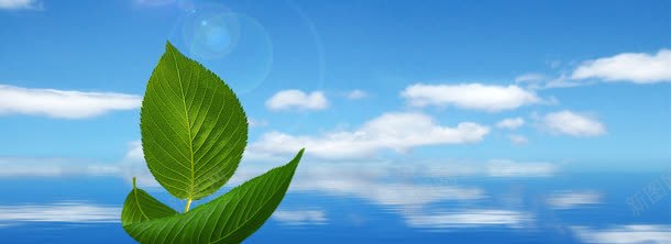 风景背景jpg设计背景_88icon https://88icon.com 水 白云 绿叶 蓝天