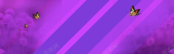 紫色淘宝海报背景bannerjpg设计背景_88icon https://88icon.com 海报背景 简单 紫色 背景素材 蝴蝶