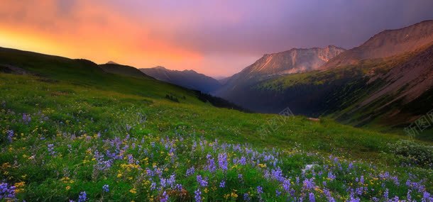 天空草地鲜花背景jpg设计背景_88icon https://88icon.com 天空 山坡 山峰 花朵 草地 鲜花