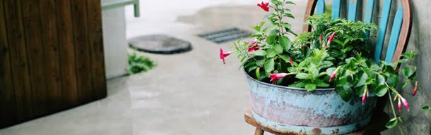 简约摄影特写海报背景jpg设计背景_88icon https://88icon.com 唯美 图片 大图 大气 摄影 浅色 浪漫 淘宝banner 清爽 白色 简约 绿色 花朵 高清