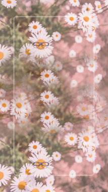 白色小雏菊H5背景摄影图片
