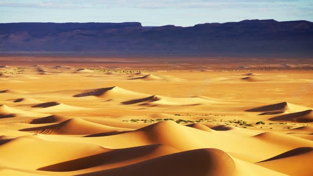 黄色沙漠沙丘干旱背景