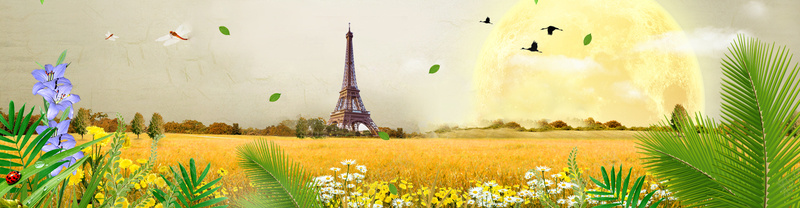 植物巴黎铁塔背景摄影图片