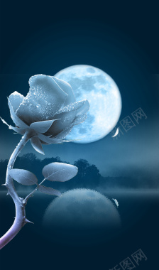 时尚大气美丽圆月下的玫瑰花房地产背景背景