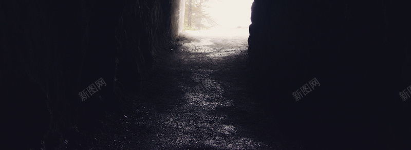黑白黑暗童话路口森林背景摄影图片