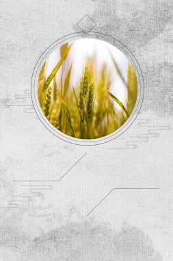 五谷杂粮丰收稻米小麦海报背景背景