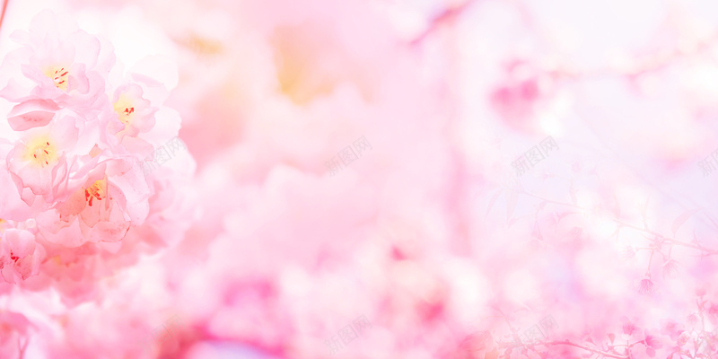 春天粉红色桃花虚幻浪漫背景jpg设计背景_88icon https://88icon.com 春天 桃花 浪漫 粉红色 背景 虚幻