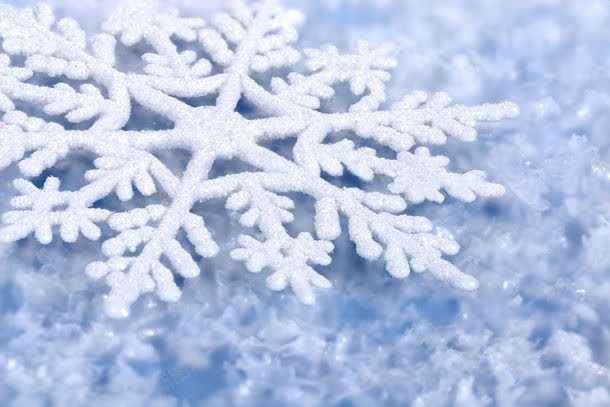 雪地上的雪花jpg设计背景_88icon https://88icon.com 图片素材 底纹背景 立体图案 背景花边 雪地 雪地上的雪花图片 雪地上的雪花图片素材下载 雪花