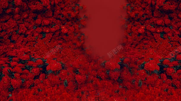 中国大红色玫瑰花海报jpg设计背景_88icon https://88icon.com 中国 海报 玫瑰花 红色