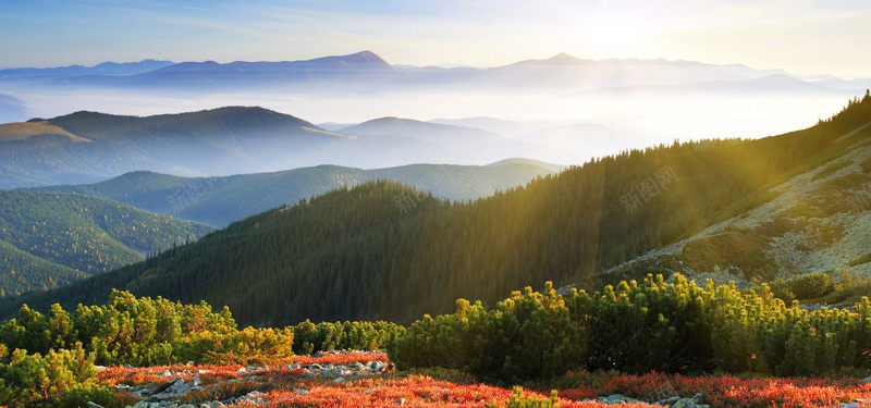 阳光天空山峰背景jpg_88icon https://88icon.com 天空 山峰 摄影 树林 海报banner 自然风光 风景