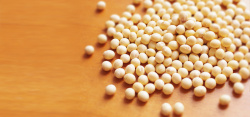 卵磷脂大豆黄豆卵磷脂大豆油大豆粉营养淘宝背景高清图片