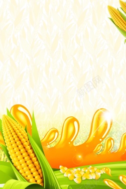 玉米油健康食用油背景