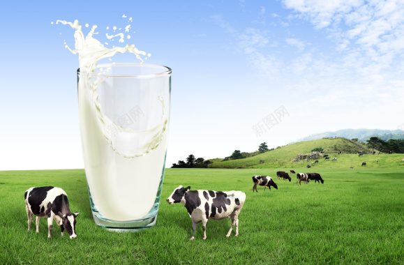 天然牧场牛奶海报背景背景