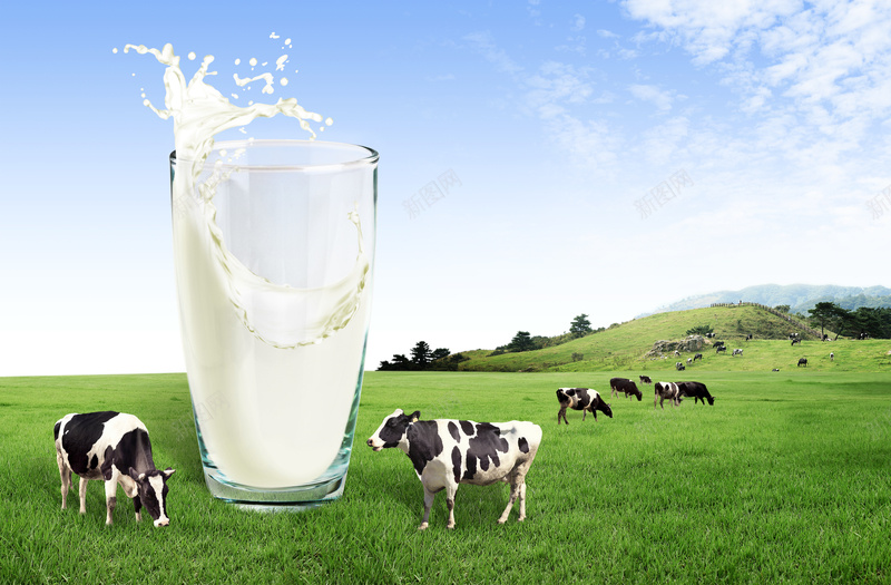 天然牧场牛奶海报背景jpg设计背景_88icon https://88icon.com 天然牧场 奶牛 新鲜牛奶 海报背景 牛奶 牛奶促销 牛奶广告 牛奶海报 甜蜜 纯牛奶 草原牛奶