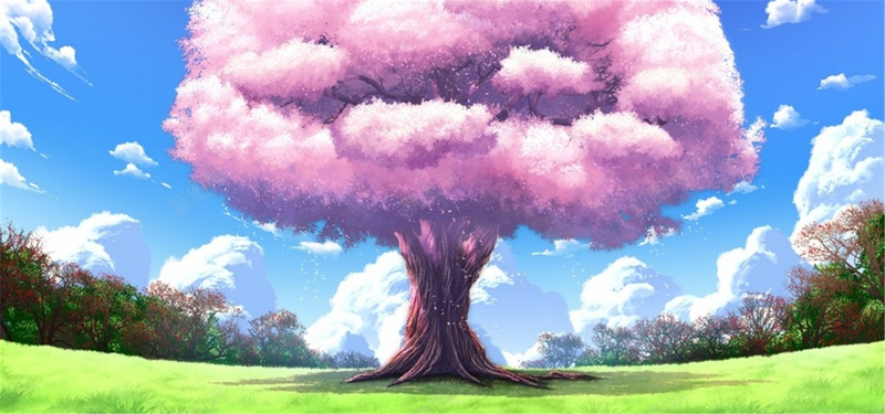 卡通樱花树天空背景背景