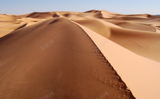 壮丽沙漠自然景观jpg设计背景_88icon https://88icon.com 壮丽 景观 沙漠 自然