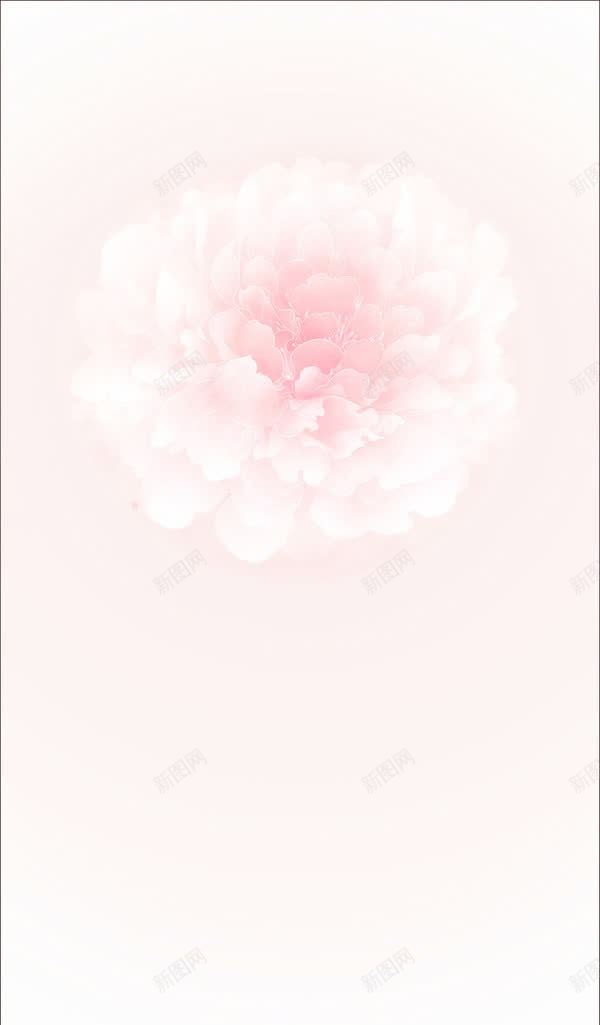 梦幻粉色盛开花朵jpg设计背景_88icon https://88icon.com 图片 梦幻 盛开 粉色 花朵