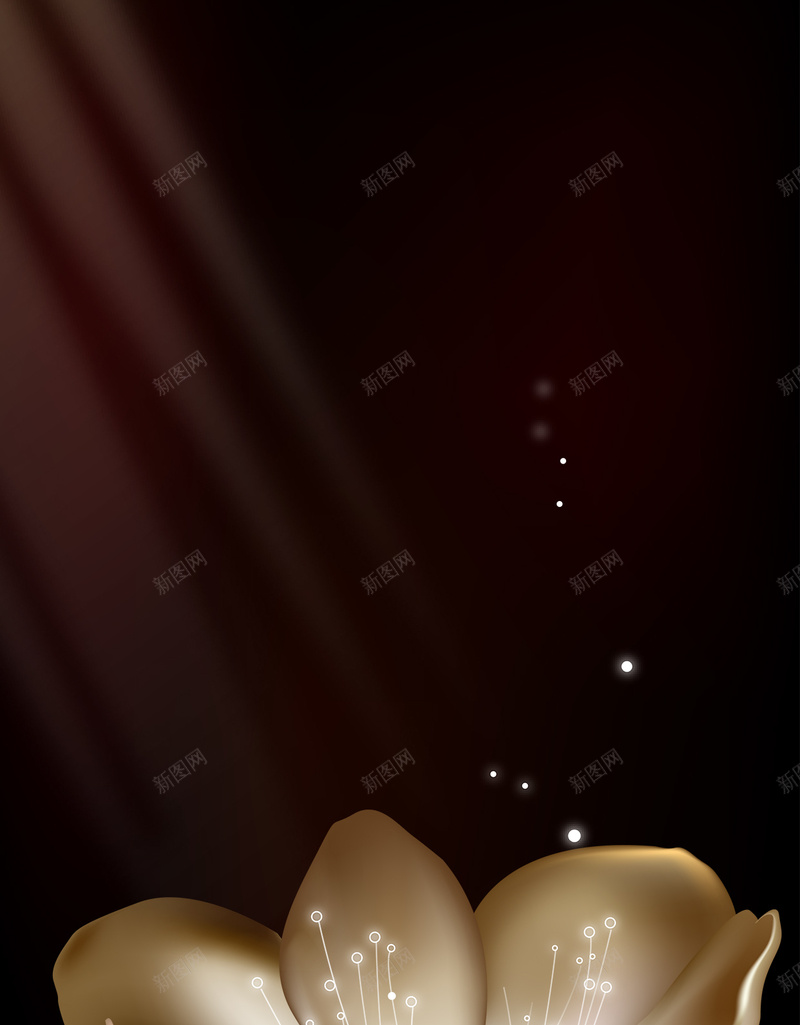奢华高贵典雅背景psd设计背景_88icon https://88icon.com 光线 典雅 奢华 星光 素材 背景 花朵 高贵