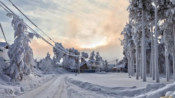 雪地树林小路电线杆海报背景jpg设计背景_88icon https://88icon.com 小路 树林 海报 电线杆 背景 雪地