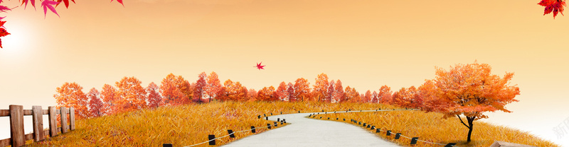 秋风落叶背景背景