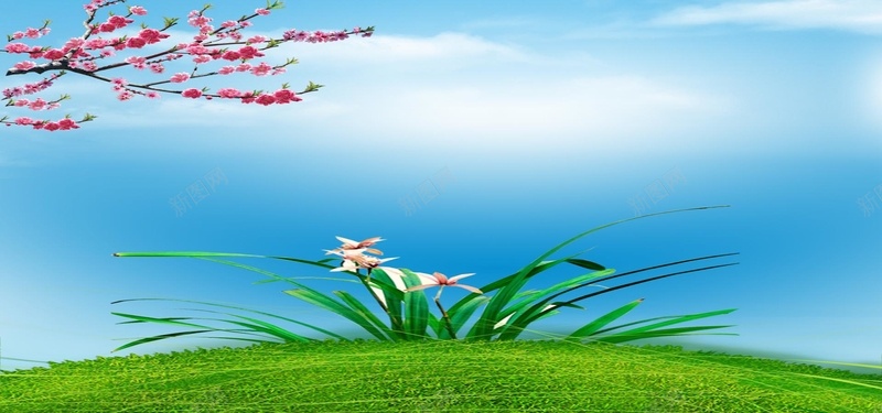 清新兰花背景psd_88icon https://88icon.com 摄影 桃花 海报banner 清新兰花背景 风景