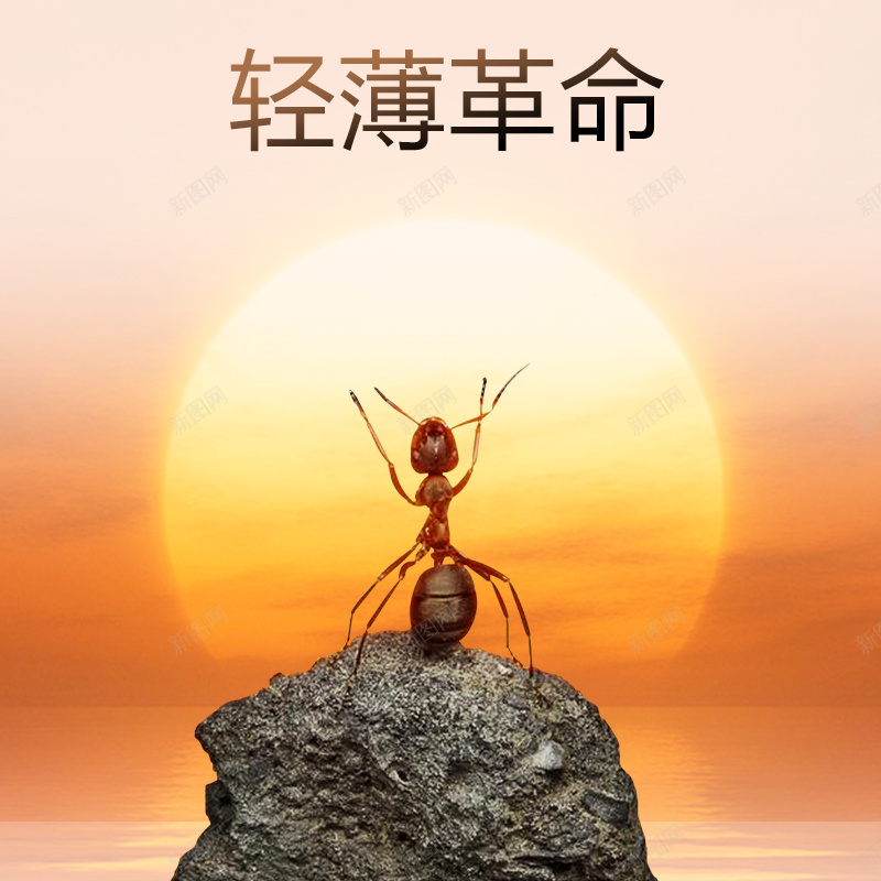 夕阳蚂蚁PSD分层主图背景主图背景psd设计背景_88icon https://88icon.com 主图背景 其他 夕阳 夕阳背景 淘宝 直通车主图 石头 蚂蚁