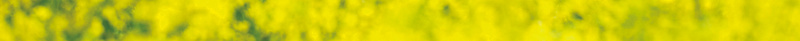 彩色手绘风景油菜花城市建筑背景psd设计背景_88icon https://88icon.com 城市 建筑 彩色 手绘 油菜花 素材 背景 风景