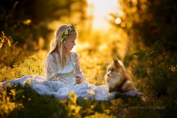 阳光树林里的女孩小狗背景