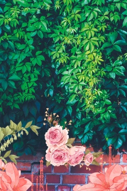 户外绿叶爬山虎粉色花朵砖墙背景背景