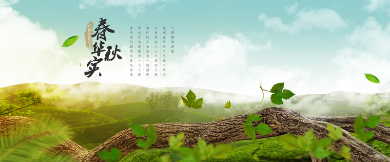 自然风景山谷茶叶海报背景背景